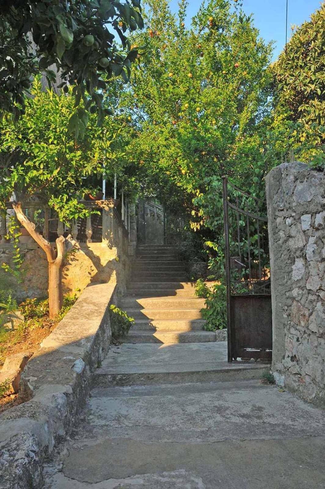 Spacious Room With A Panoramic View Of Harbor Dubrovnik Exteriör bild